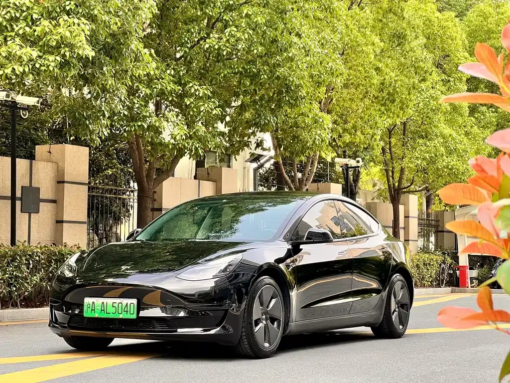 Tesla Model 3 — фото 1