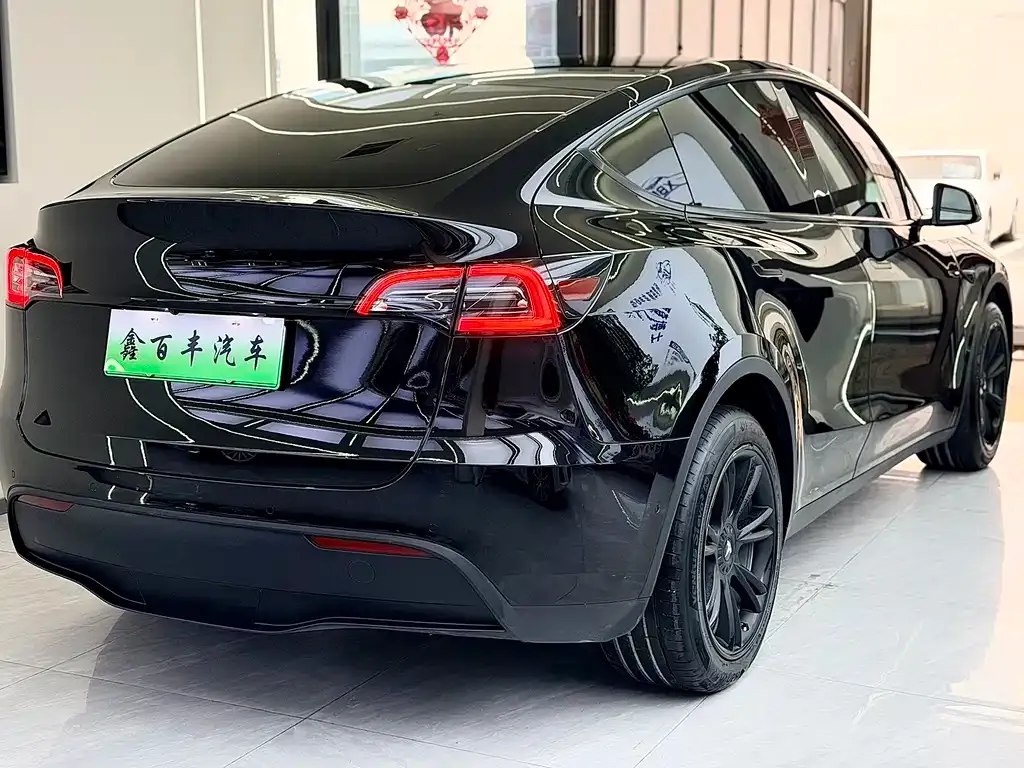 Tesla Model Y — фото 10