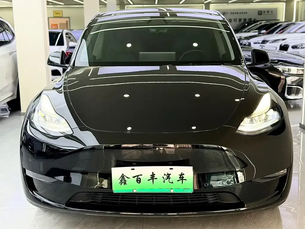 Tesla Model Y — фото 4