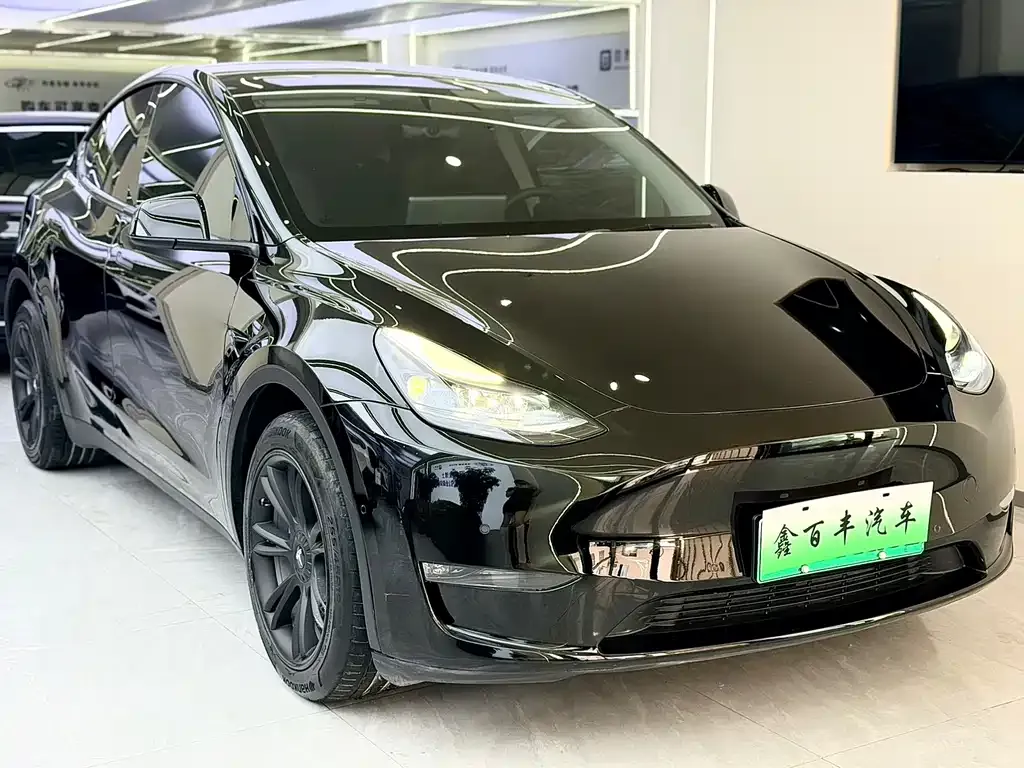 Tesla Model Y — фото 6