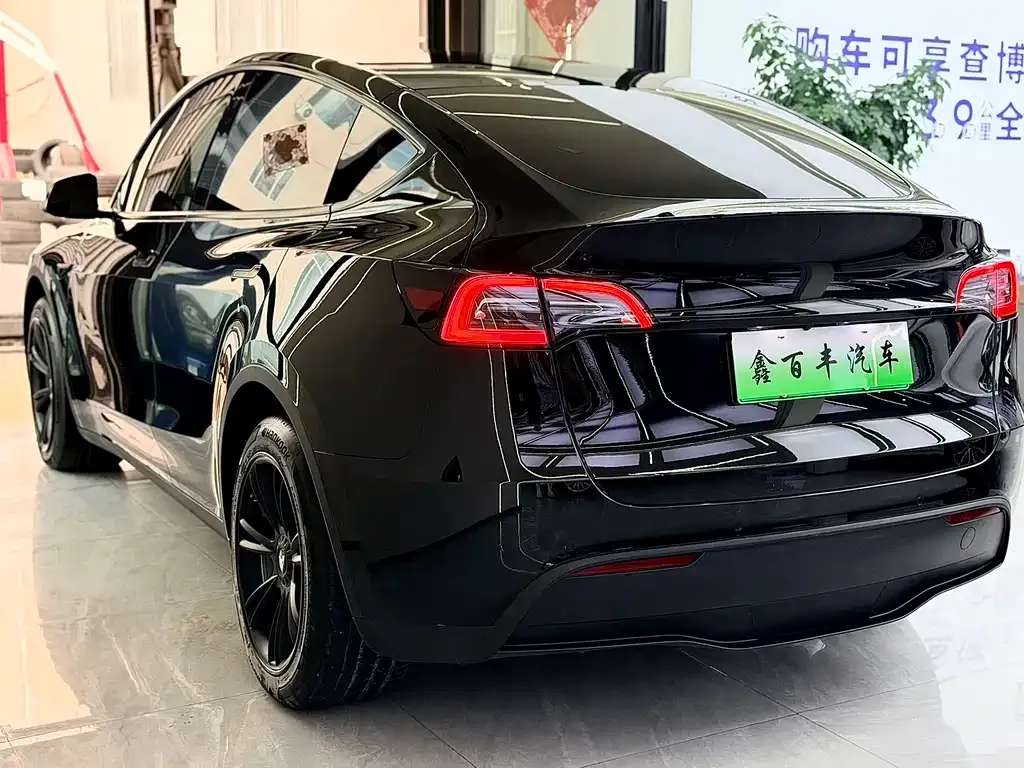 Tesla Model Y — фото 9
