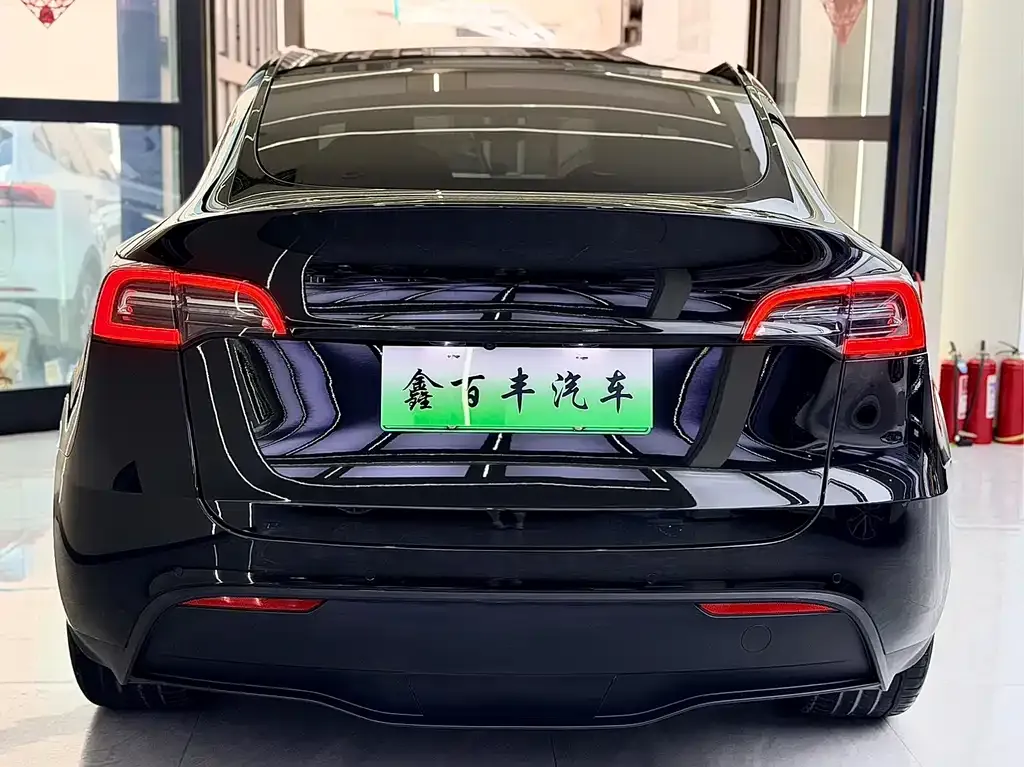 Tesla Model Y — фото 3