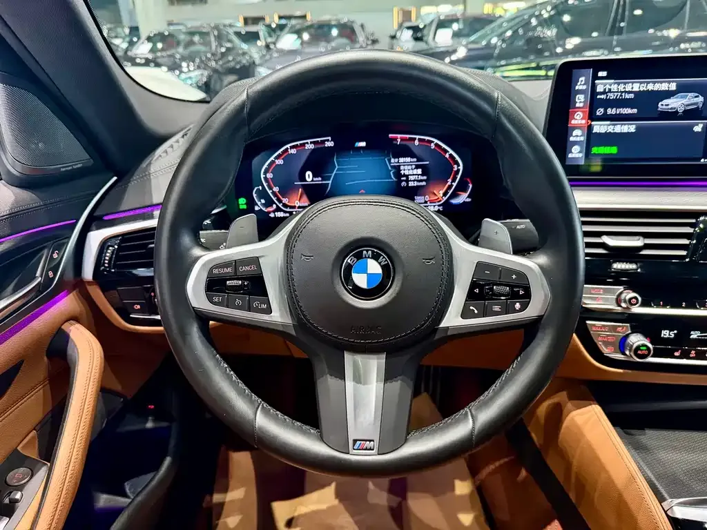 BMW 5 Series (Import) — фото 6
