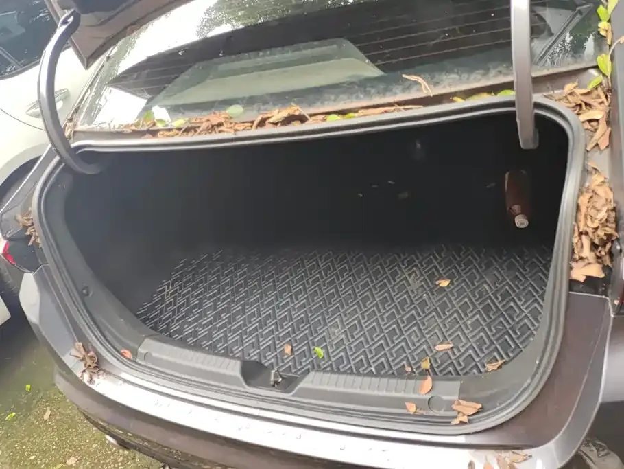 GAC Motor Shadow Leopard — фото 9