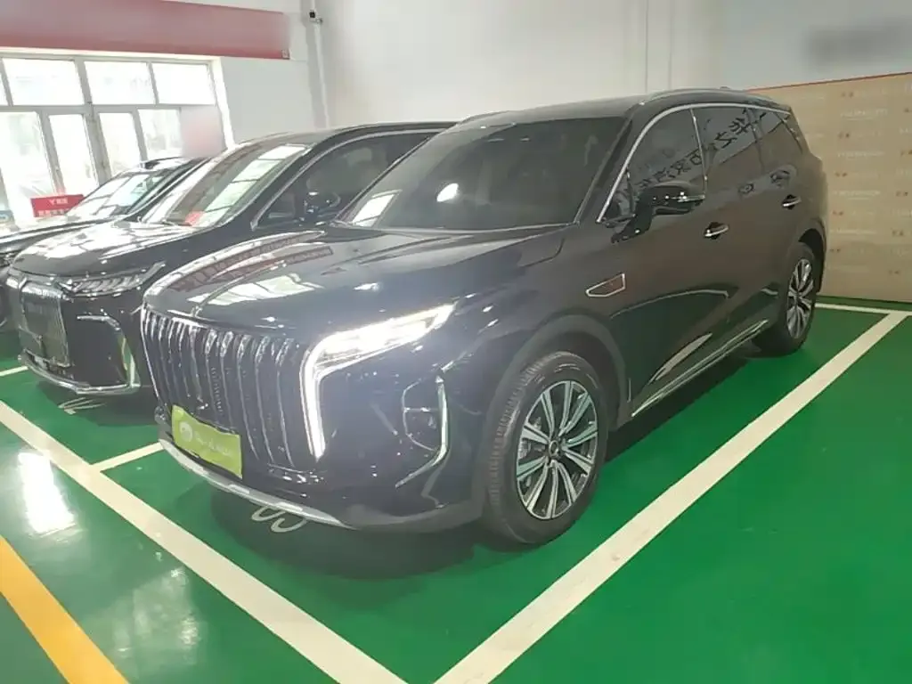 Hongqi HS7 PHEV — фото 6