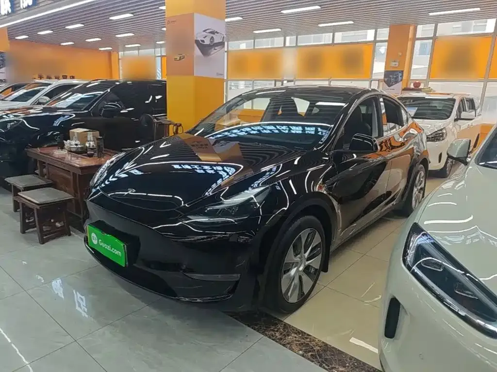 Tesla Model Y — фото 6