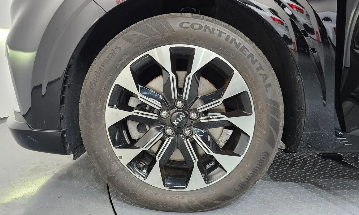Kia Carnival — фото 10