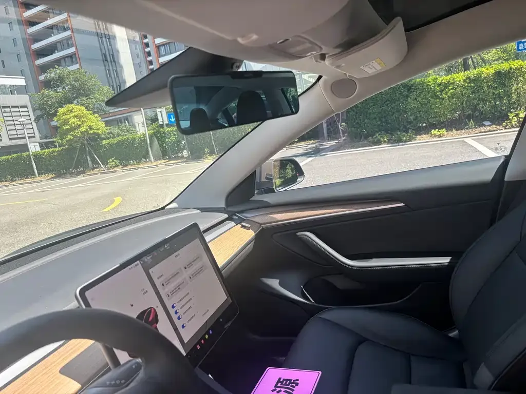 Tesla Model 3 2021 из CN, фото 5