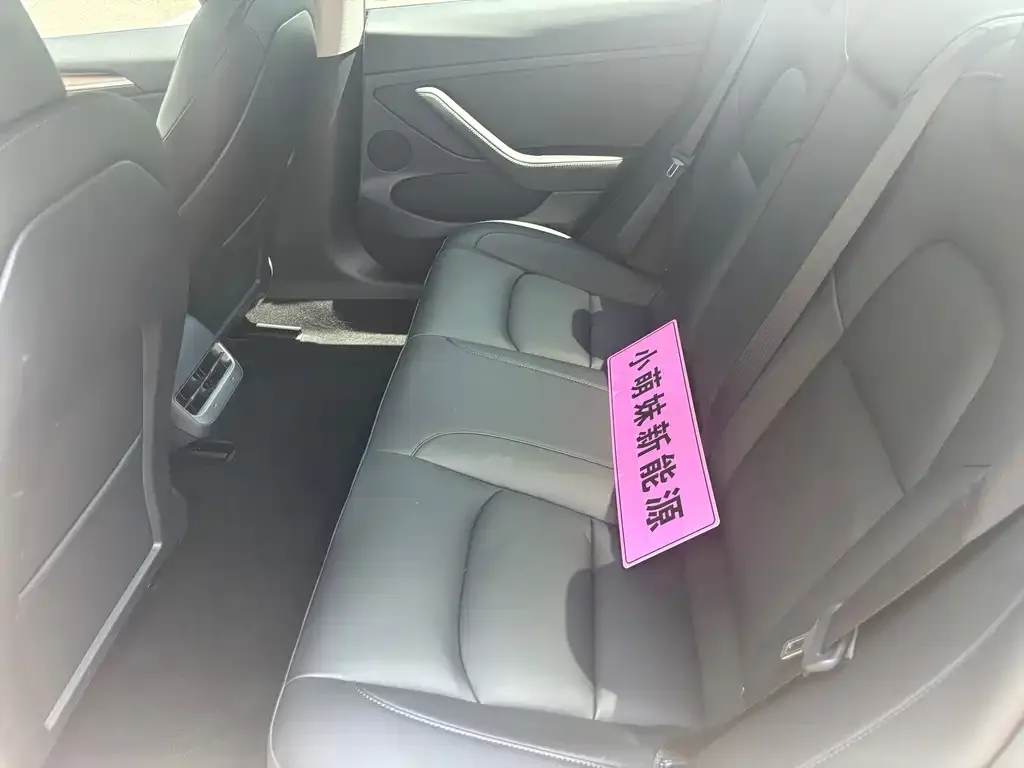 Tesla Model 3 2021 из CN, фото 2