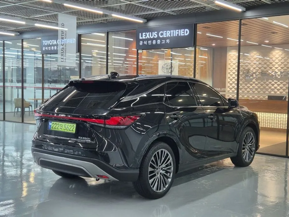 Lexus RX — фото 9
