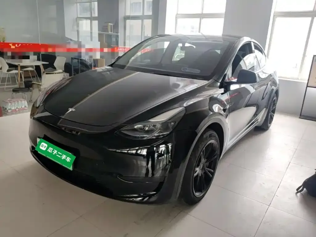 Tesla Model Y — фото 2