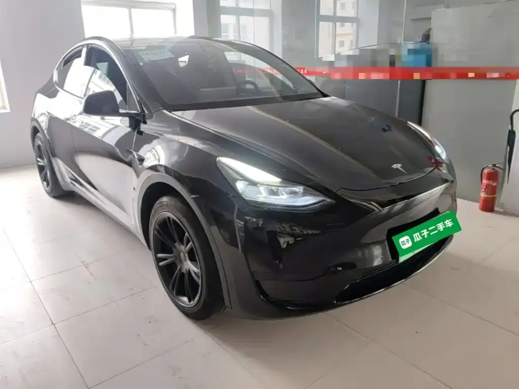 Tesla Model Y — фото 8