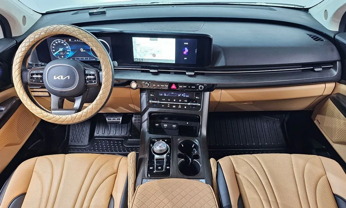 Kia Carnival — фото 10