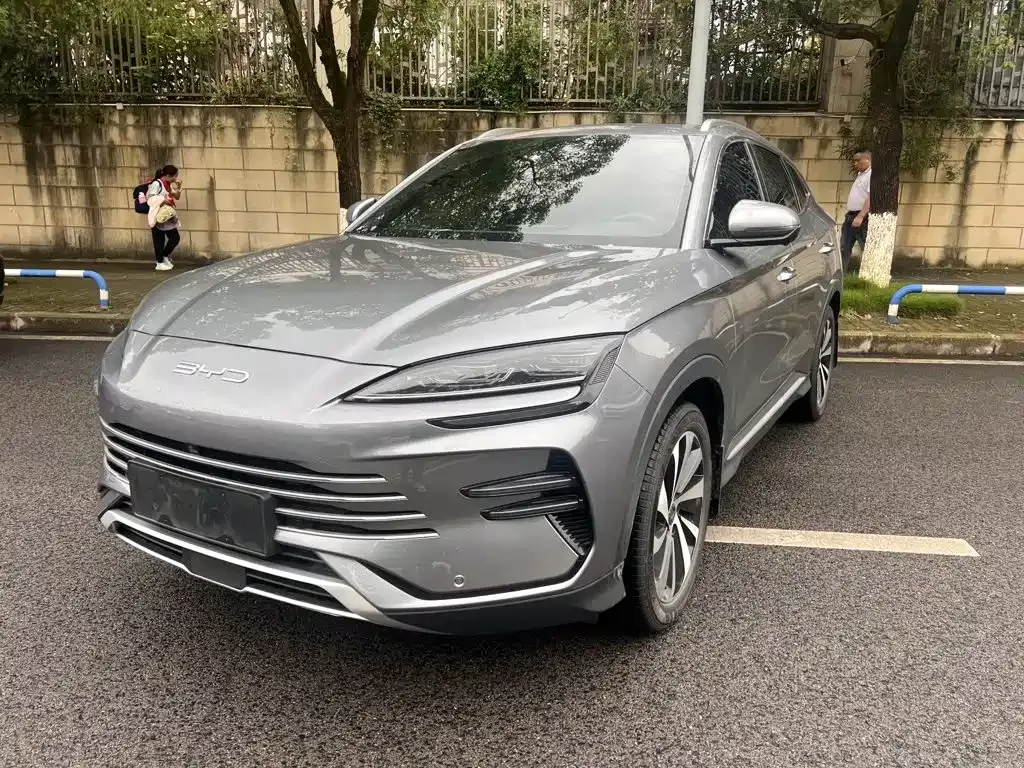BYD PLUS New Energy 2024 из CN, фото 7