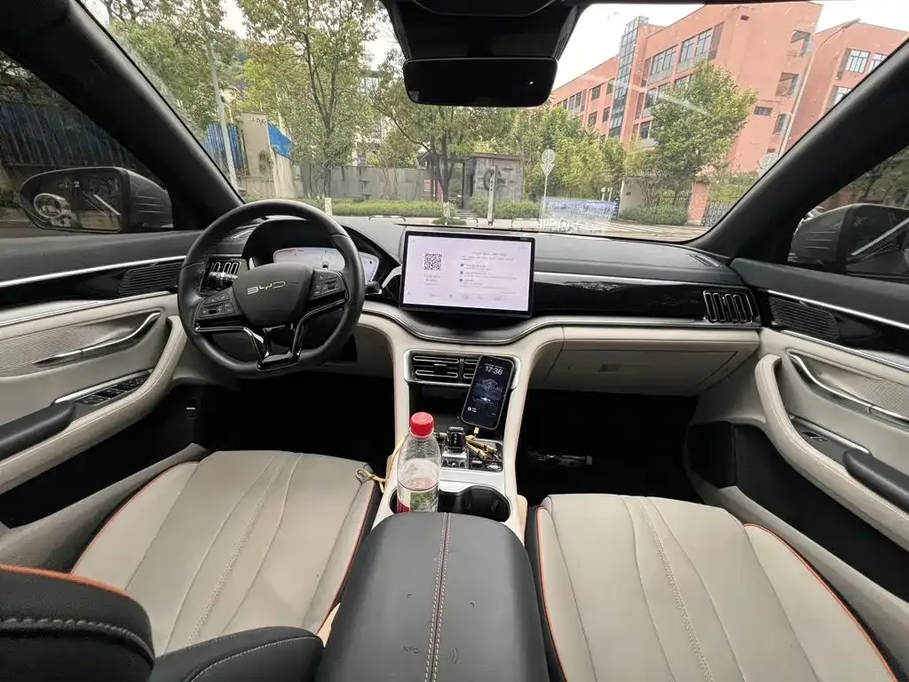 BYD PLUS New Energy 2024 из CN, фото 2