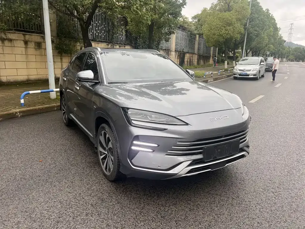 BYD PLUS New Energy 2024 из CN, фото 5