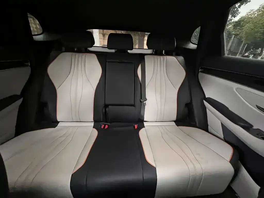 BYD PLUS New Energy 2024 из CN, фото 3