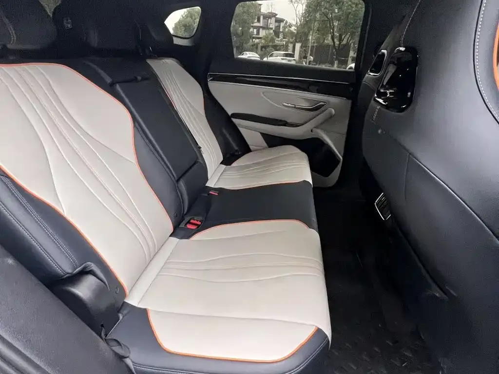BYD PLUS New Energy 2024 из CN, фото 4