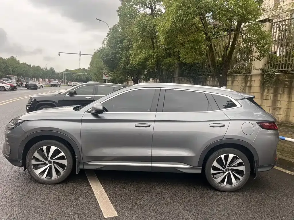 BYD PLUS New Energy 2024 из CN, фото 6