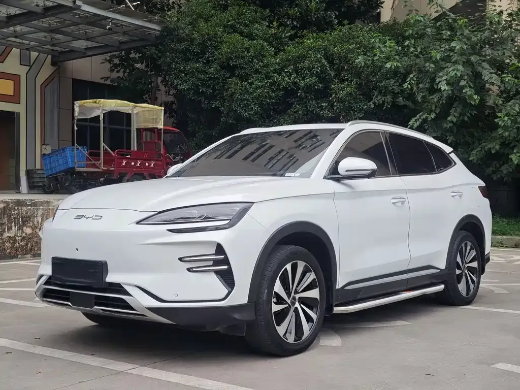 BYD PLUS New Energy — фото 1