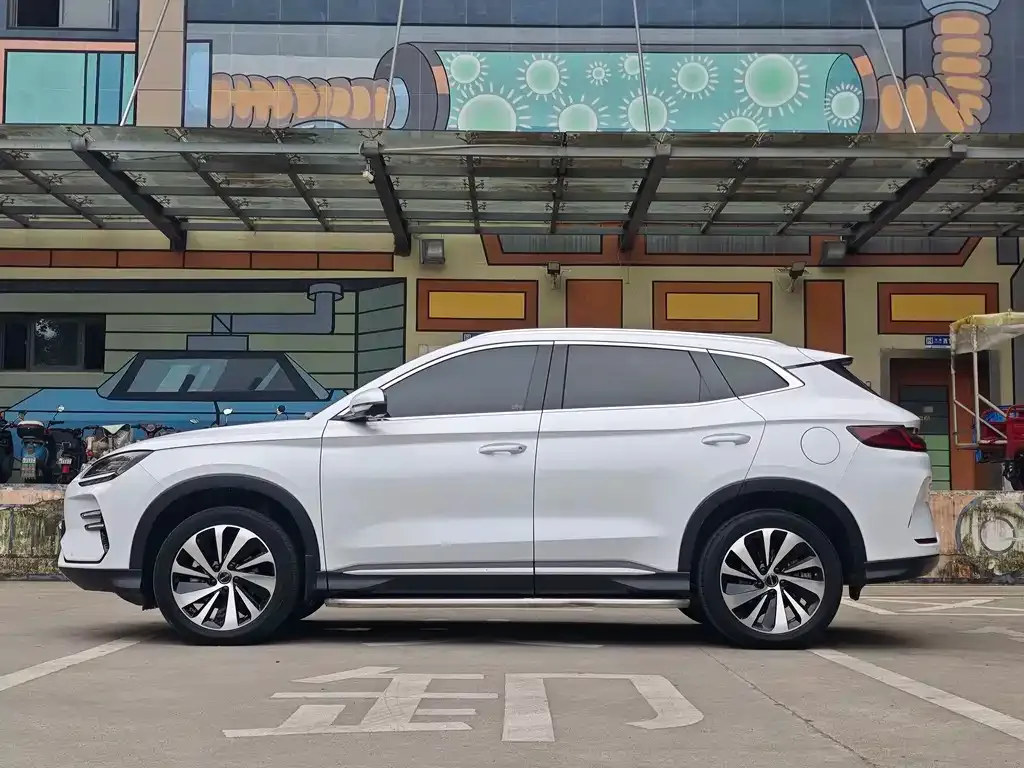 BYD PLUS New Energy — фото 3