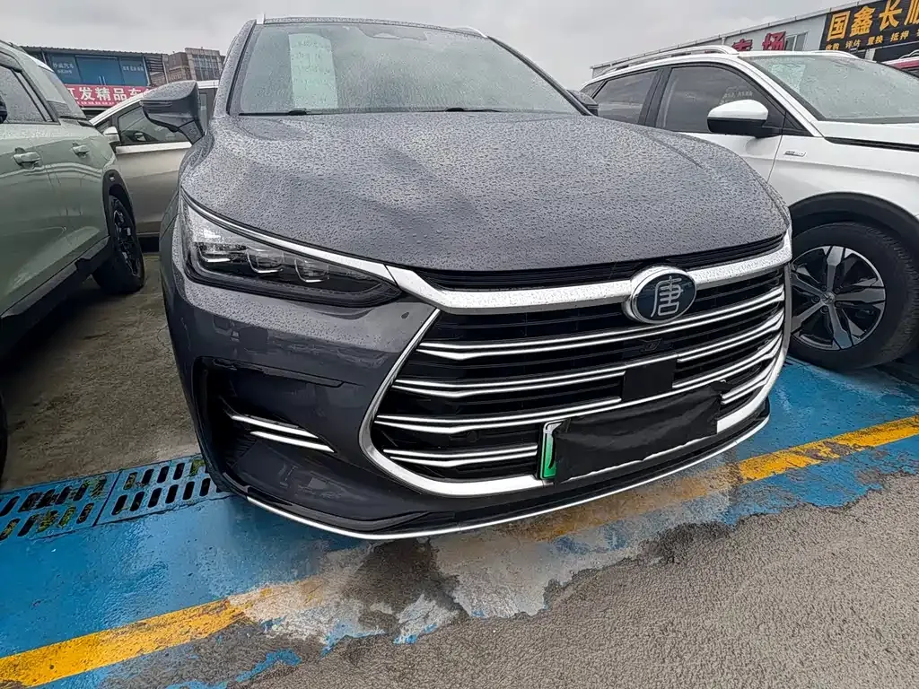 BYD Tang New Energy 2024 из CN, фото 10