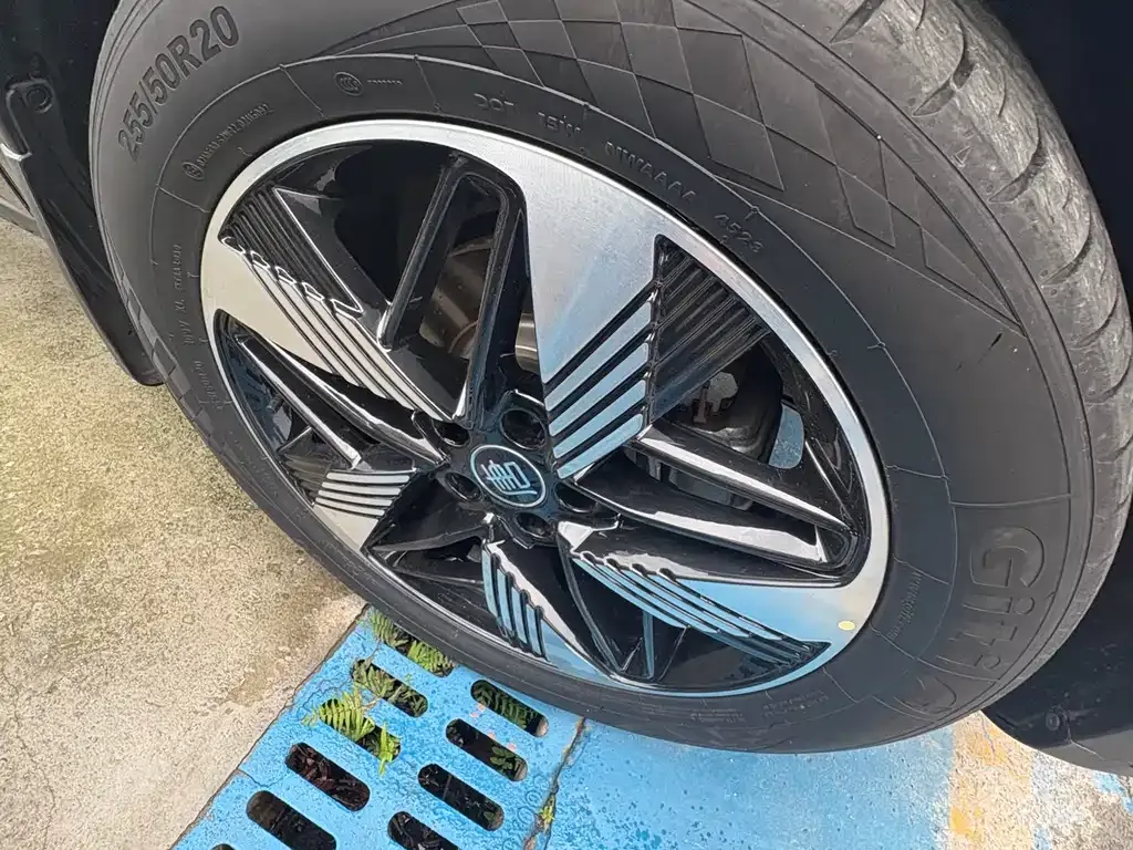 BYD Tang New Energy 2024 из CN, фото 5