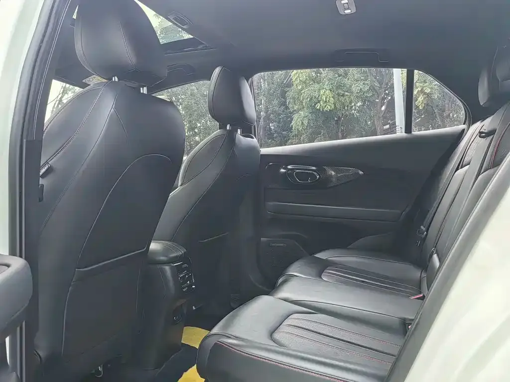 GAC Motor Shadow Leopard 2024 из CN, фото 4