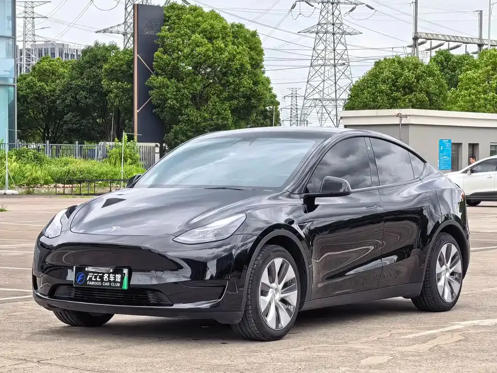 Tesla Model Y — фото 1