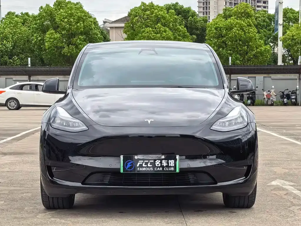 Tesla Model Y — фото 8