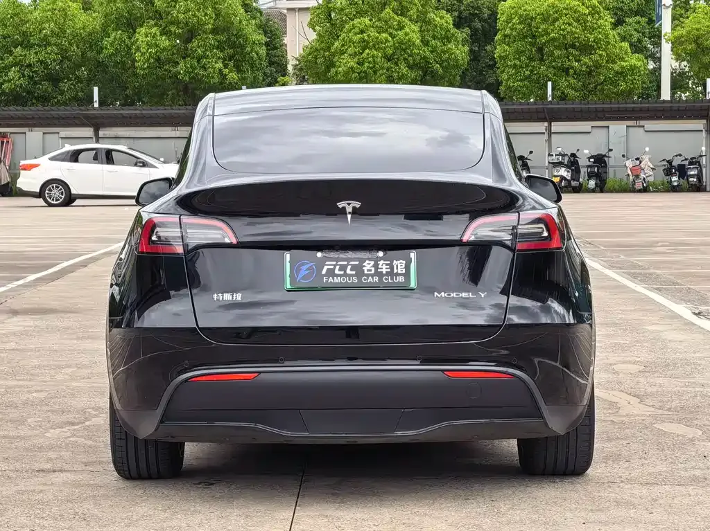 Tesla Model Y — фото 10