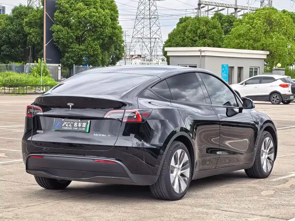 Tesla Model Y — фото 6