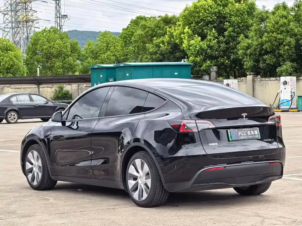 Tesla Model Y — фото 9