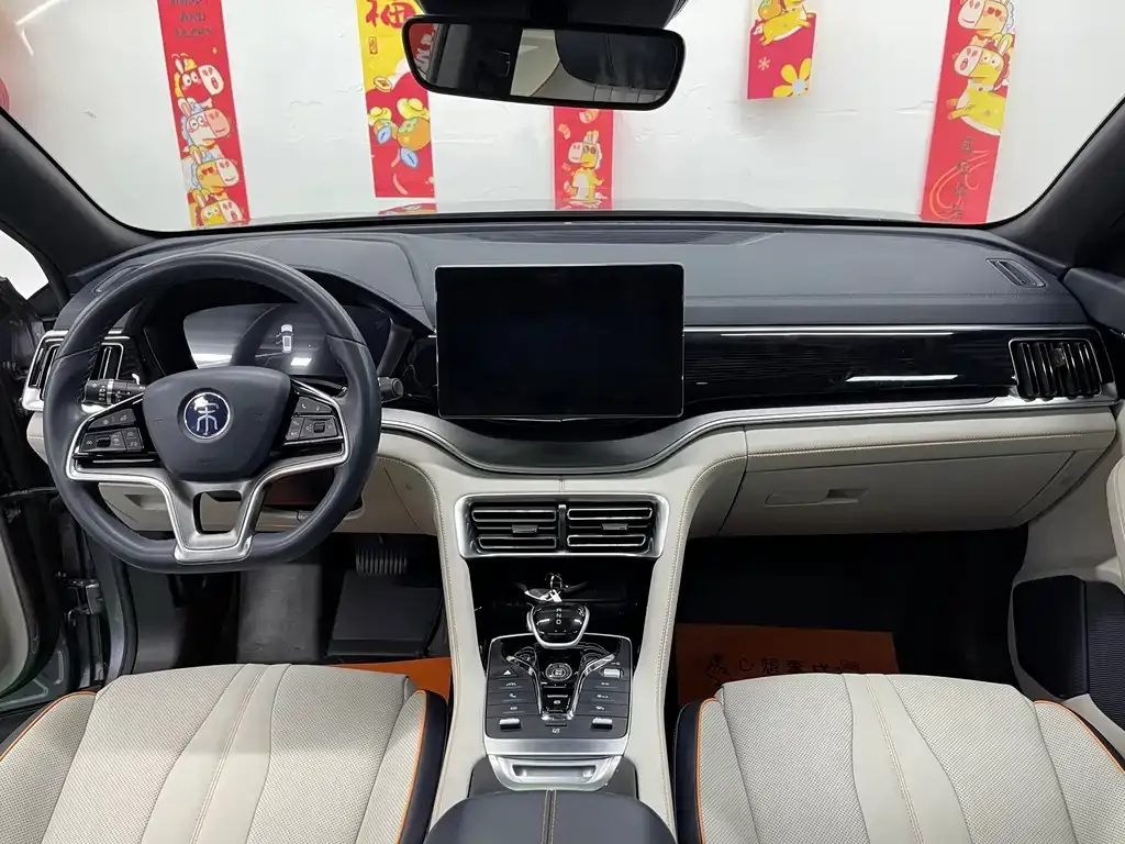 BYD PLUS New Energy — фото 10