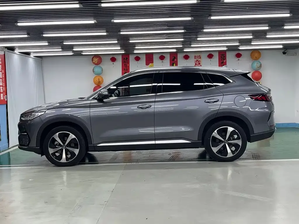 BYD PLUS New Energy — фото 5