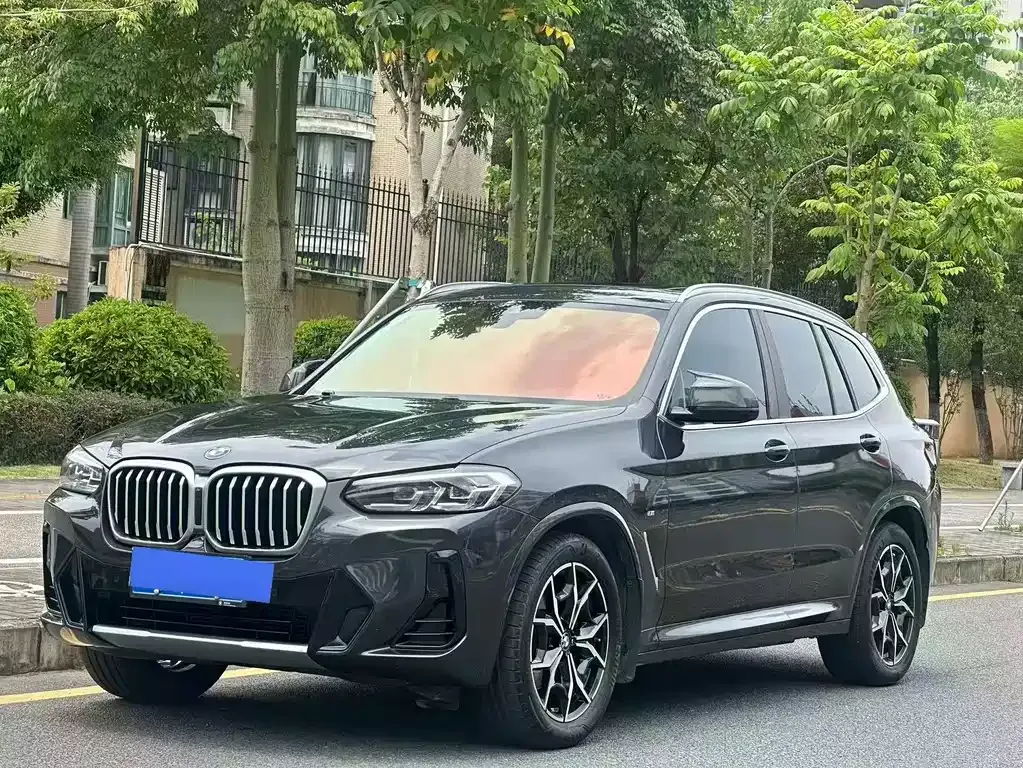 BMW X3 2022 из CN, фото 6