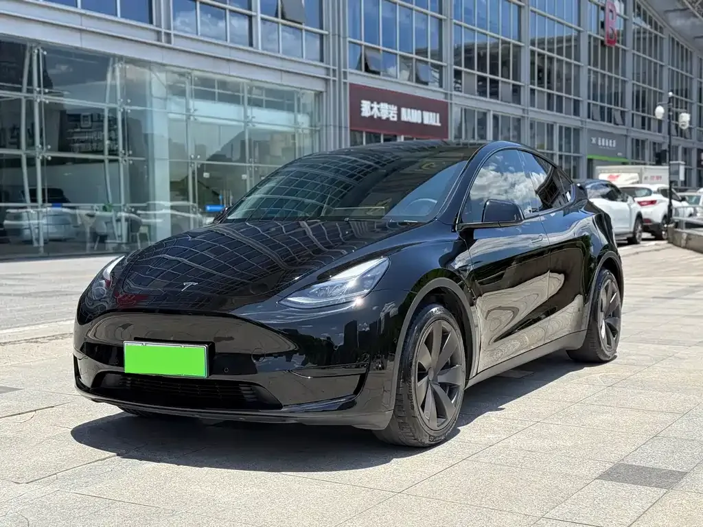 Tesla Model Y — фото 1