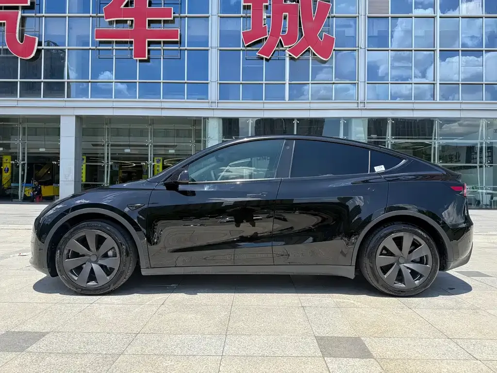 Tesla Model Y — фото 8