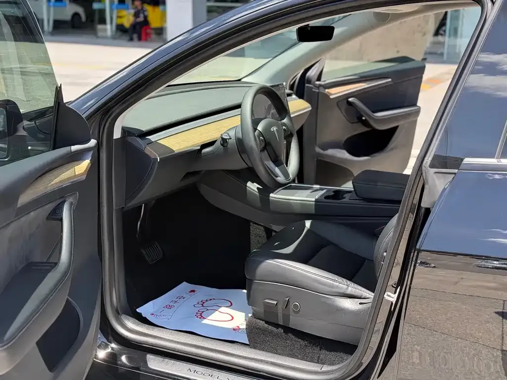 Tesla Model Y — фото 9