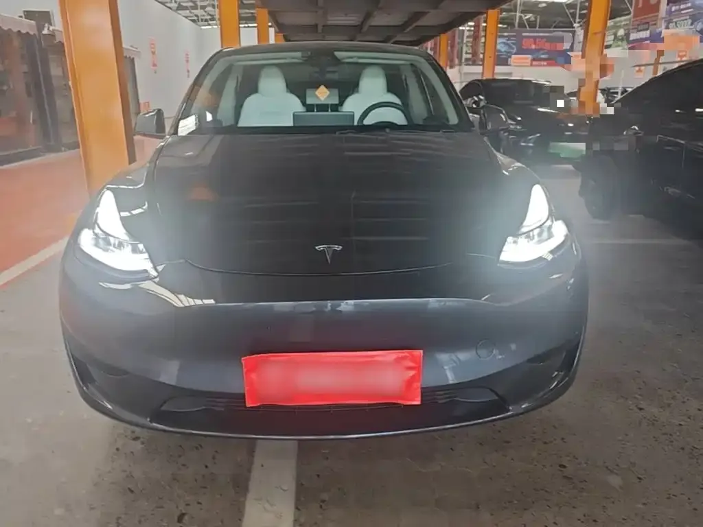 Tesla Model Y — фото 3