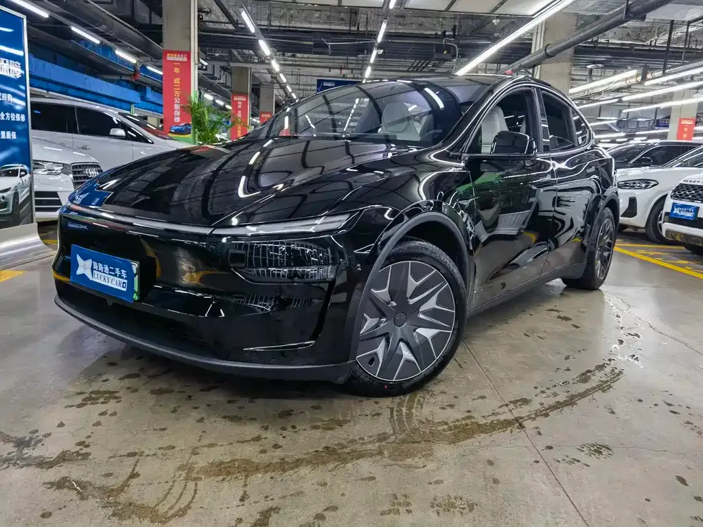 Tesla Model Y L — фото 1