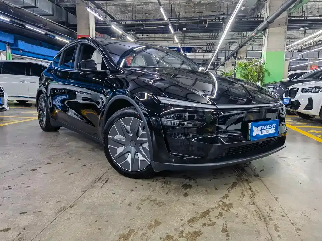 Tesla Model Y L — фото 10