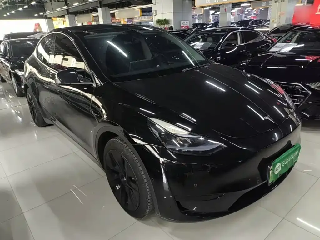 Tesla Model Y — фото 10