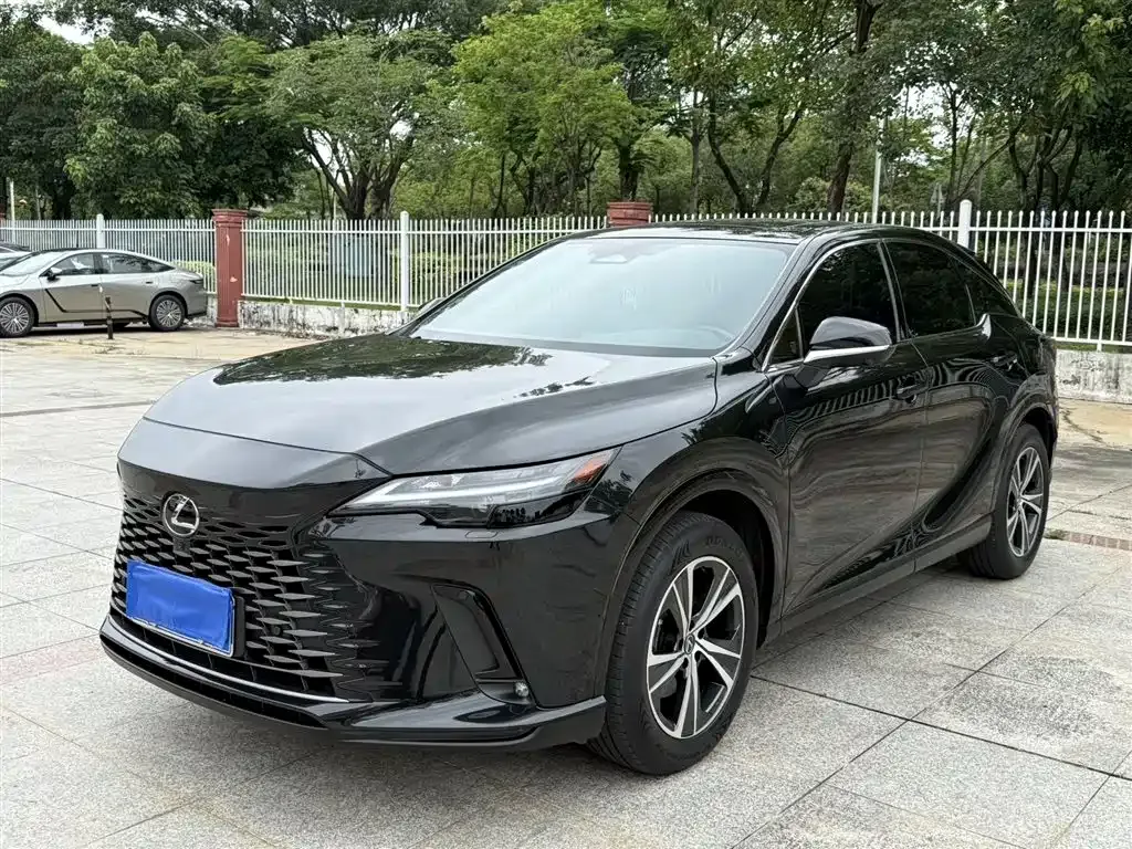Lexus RX — фото 1