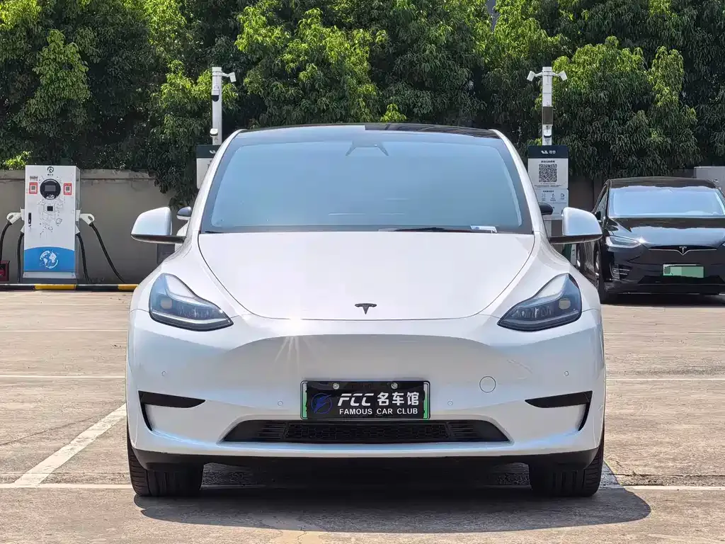 Tesla Model Y — фото 3