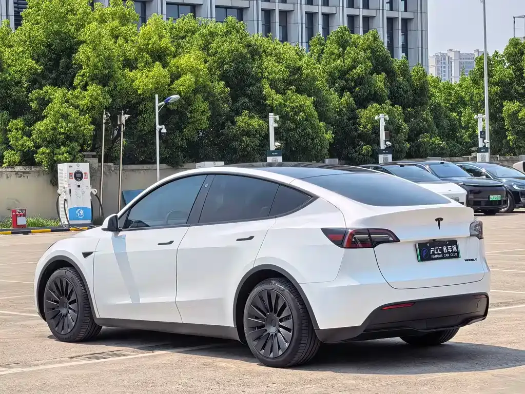 Tesla Model Y — фото 6