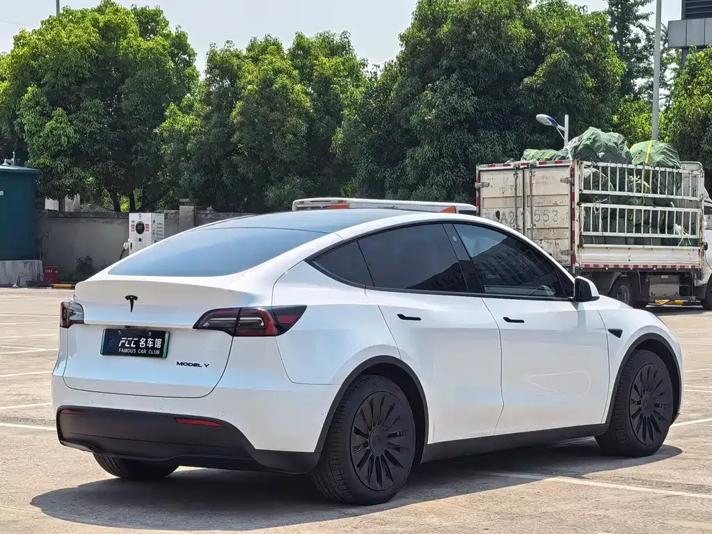 Tesla Model Y — фото 9