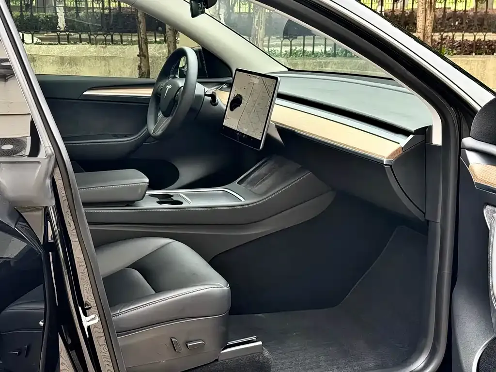 Tesla Model Y 2021 из CN, фото 4