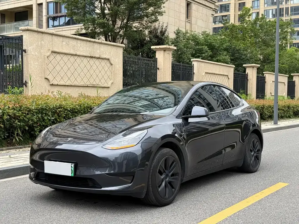 Tesla Model Y — фото 1