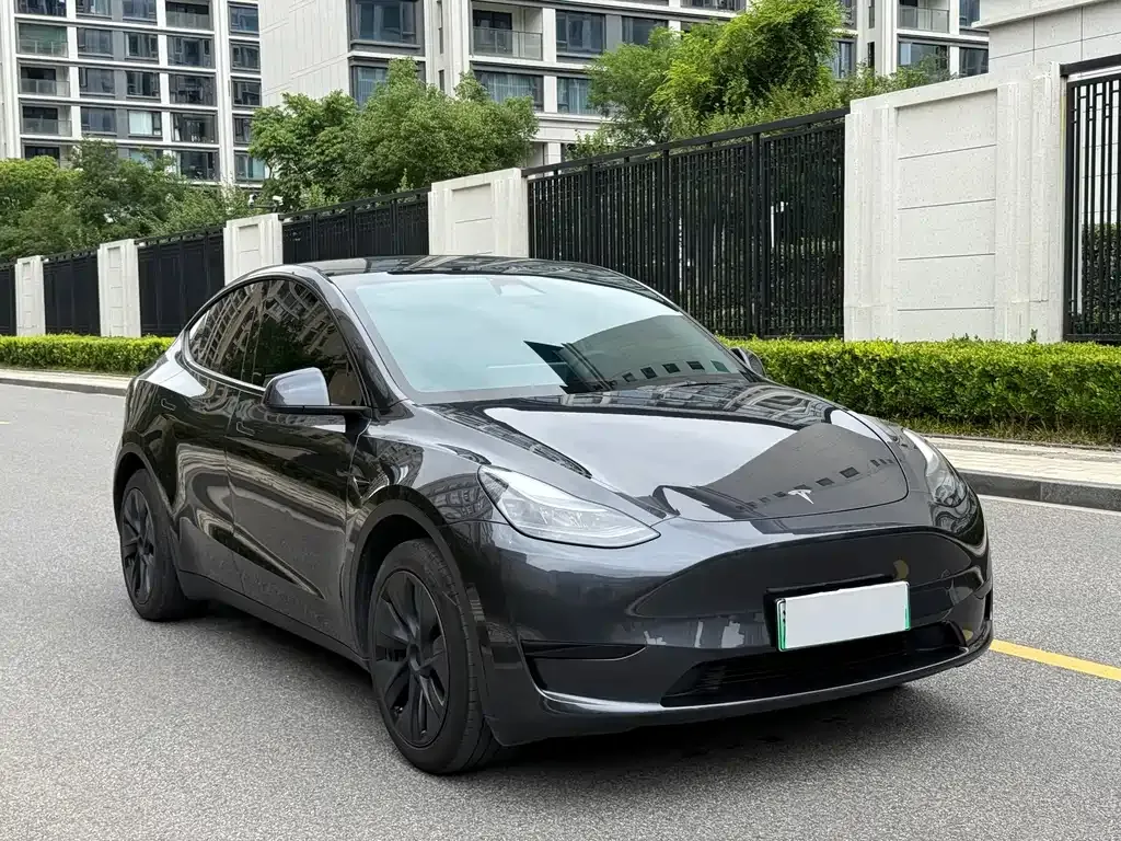 Tesla Model Y — фото 5